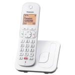 ΑΣΥΡΜΑΤΟ ΤΗΛΕΦΩΝΟ PANASONIC KX-TGC250GRW