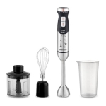 ΡΑΒΔΟΜΠΛΕΝΤΕΡ ROHNSON MOD R-5740 1500W